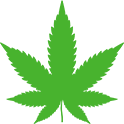 feature icon